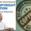 Copyright Objections